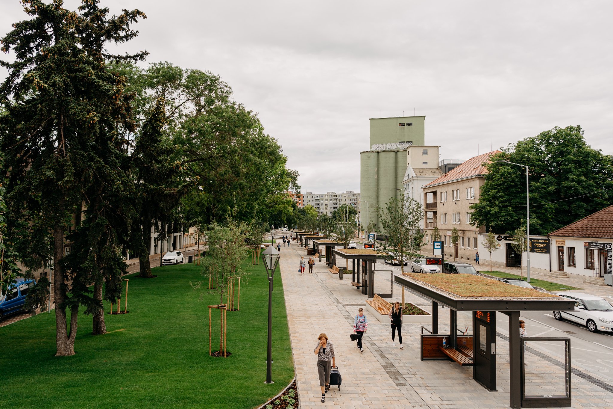 Zelený kríček Trnava
