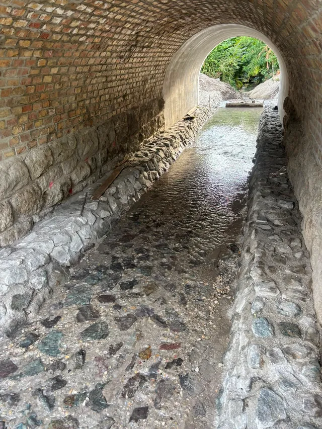 ŽSR: Devínska Nová Ves – Grenze SK/CZ – Foto 24