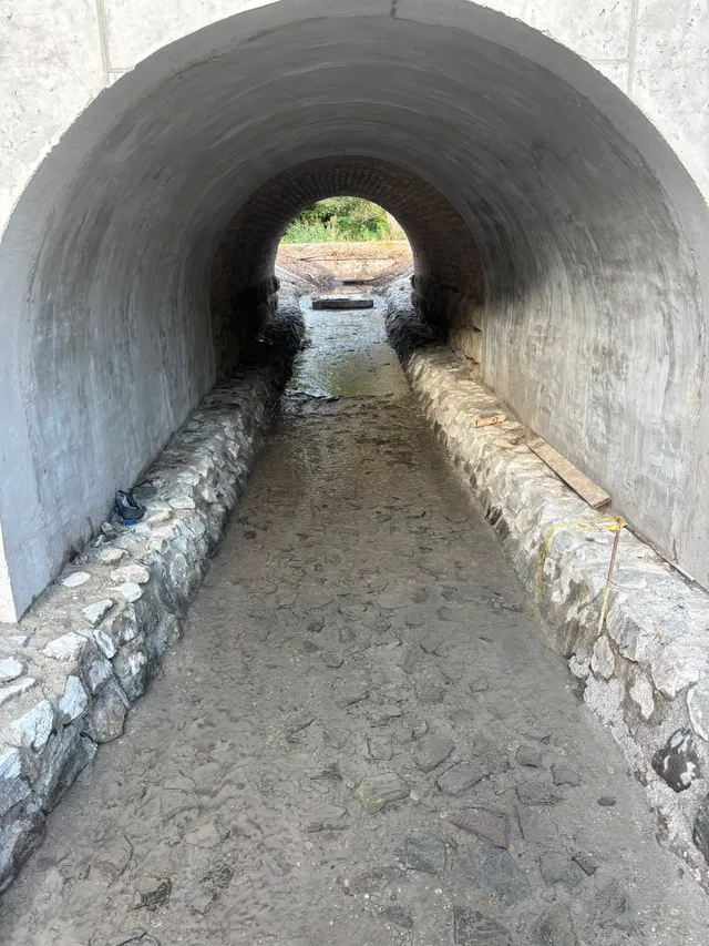 ŽSR: Devínska Nová Ves – Grenze SK/CZ – Foto 18